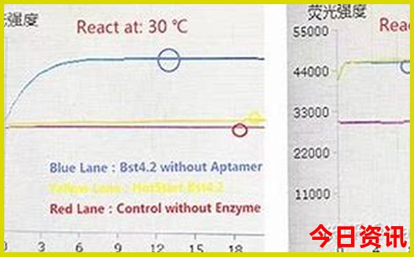黄石市景区有哪些景点
